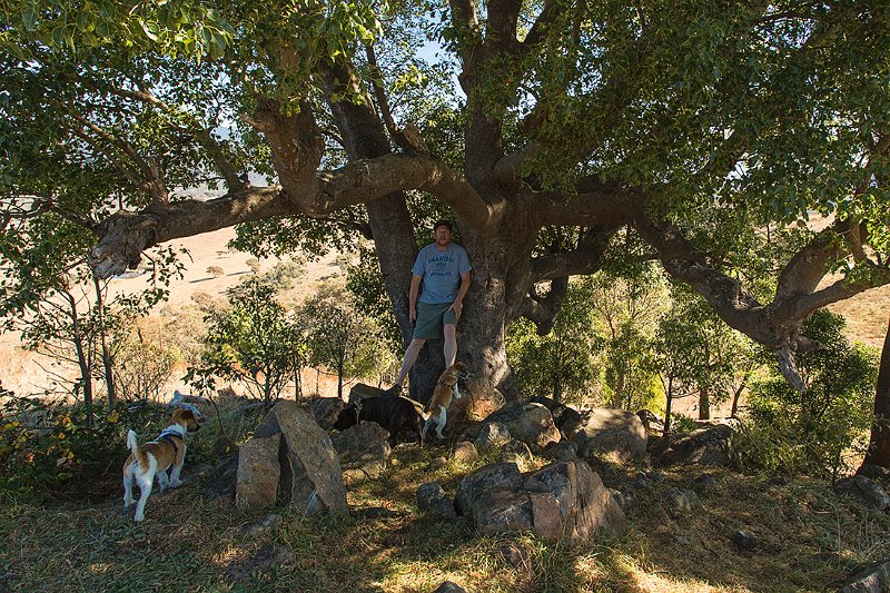 me in a tree.jpg